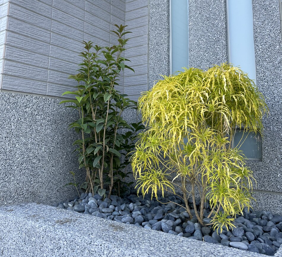 官網02
